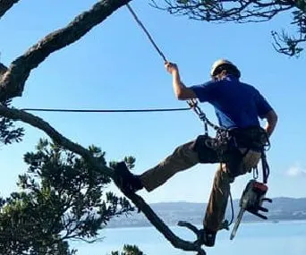 Branch Manager Auckland