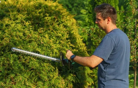 Easy Spacing Landscaping