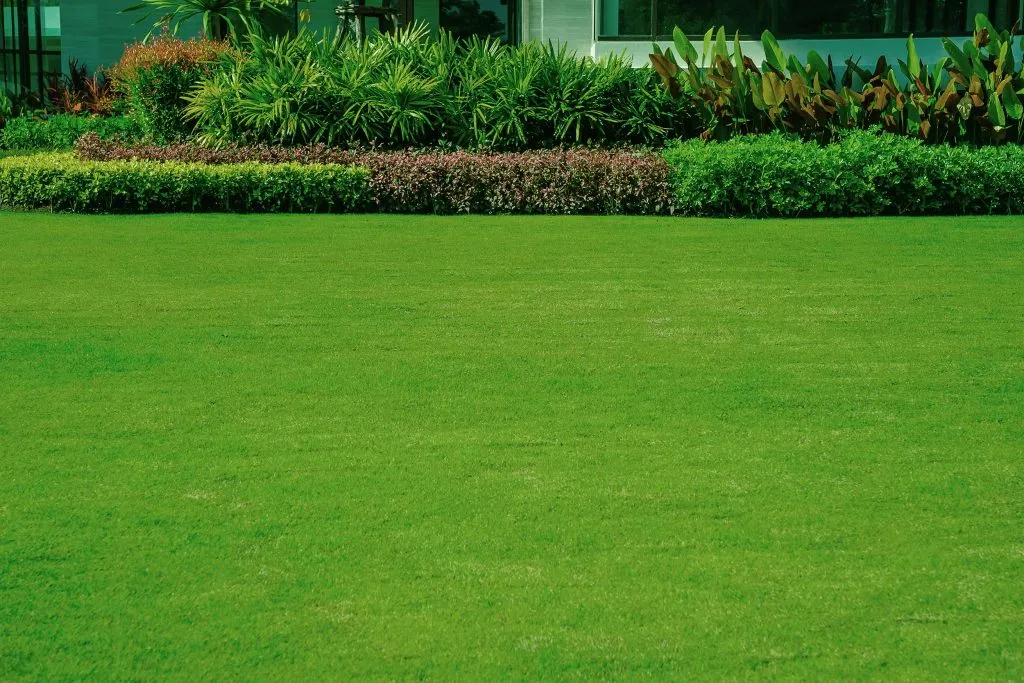 Helping Hand Lawn Services