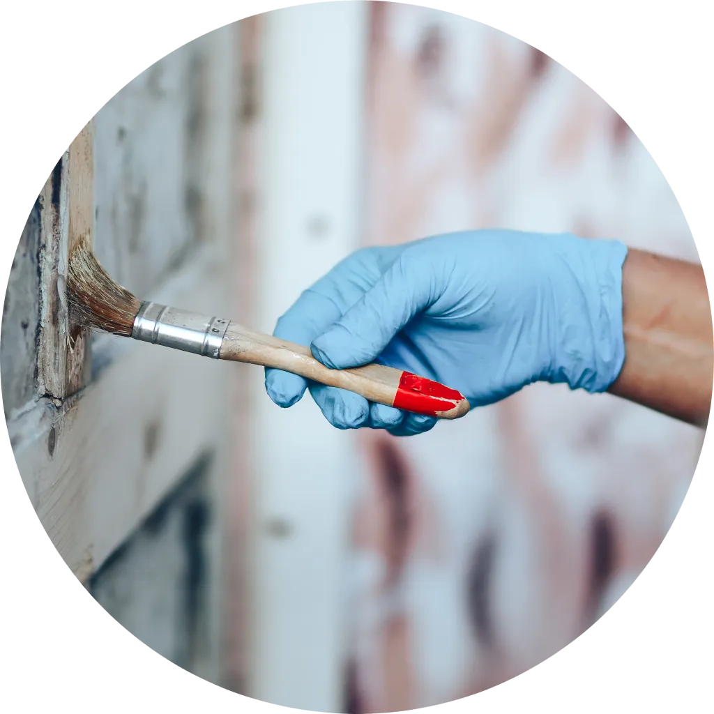 JD Building Solutions LTd