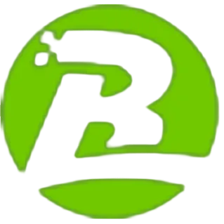 Best Link NZ