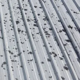 Roof Cleaning Ltd - Specialist in Bio-Shield® Roof Cleaning.