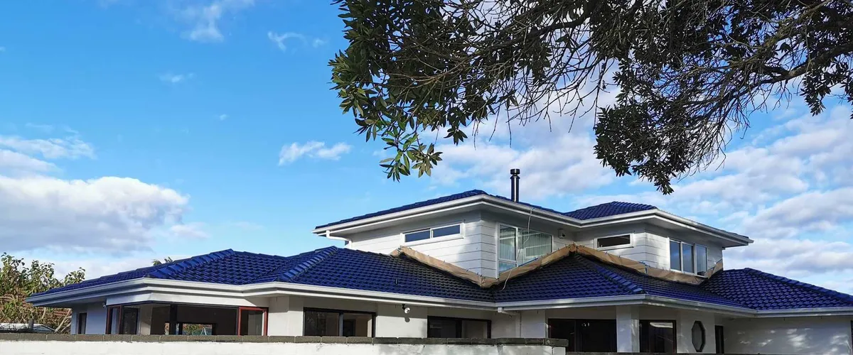 Reliant Roof Painting Auckland