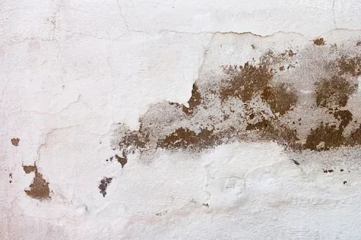 Ambient Civil - Asbestos Testing and Asbestos Removal Auckland