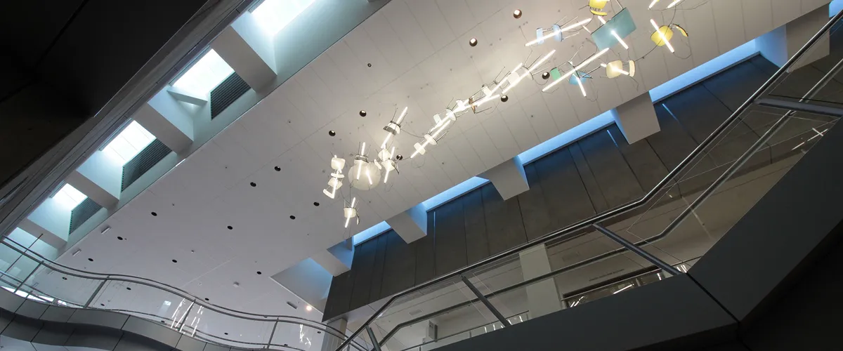 Angus Ceilings Ltd