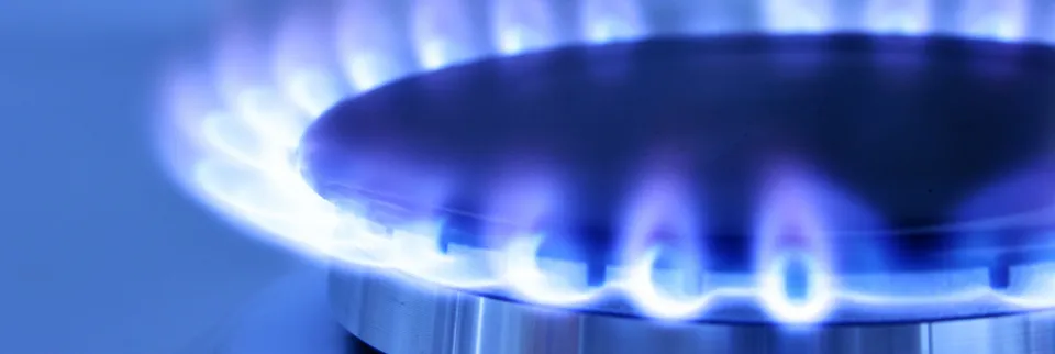 Gas & Heating Services Ltd