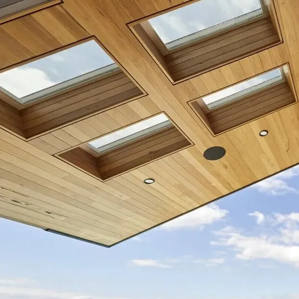 Suntrenz Skylights