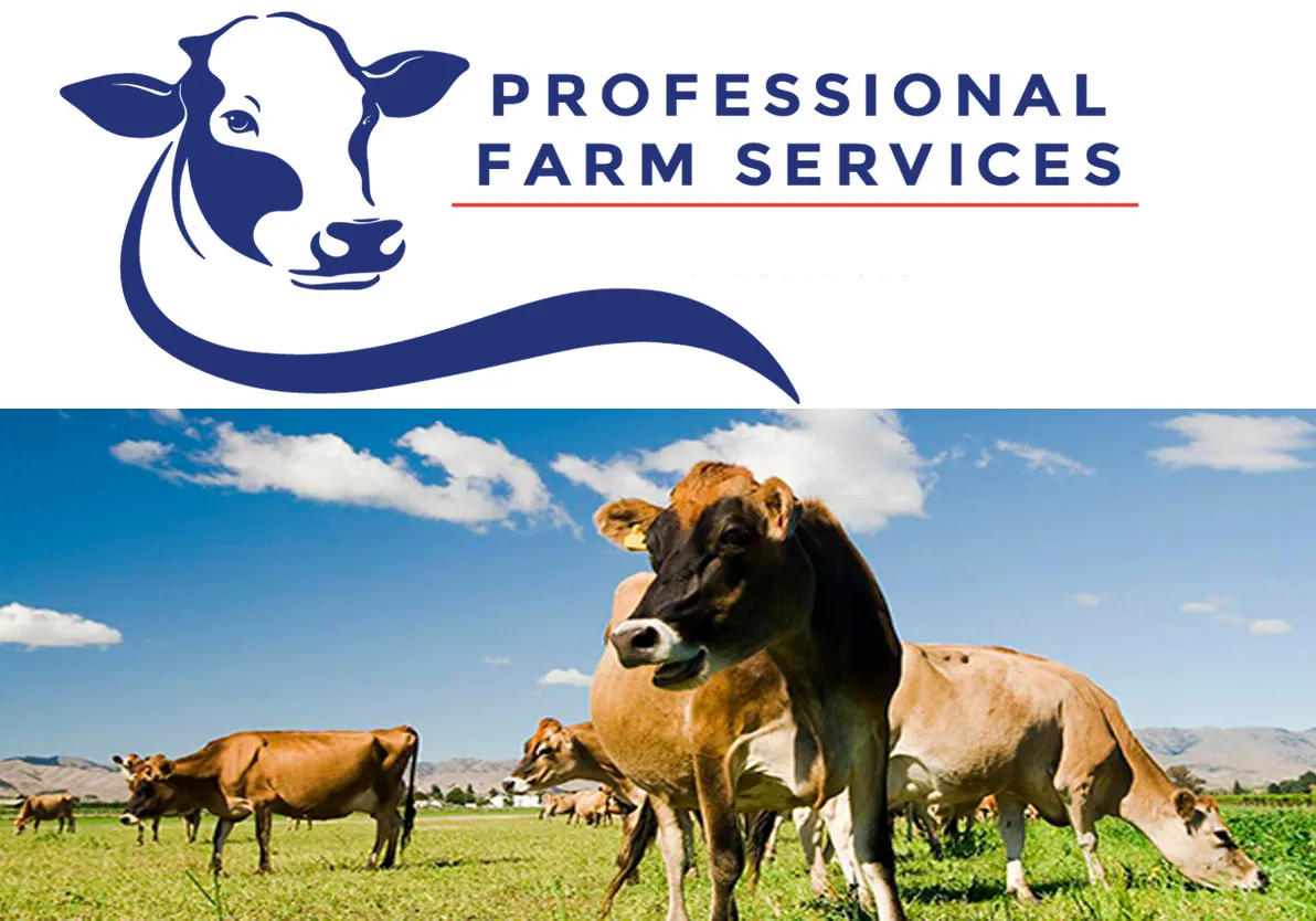 Professional Pump Services Ltd