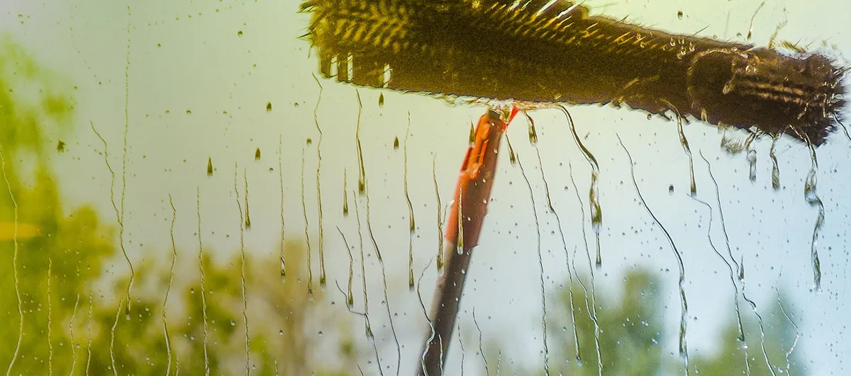 Pure Window Wash