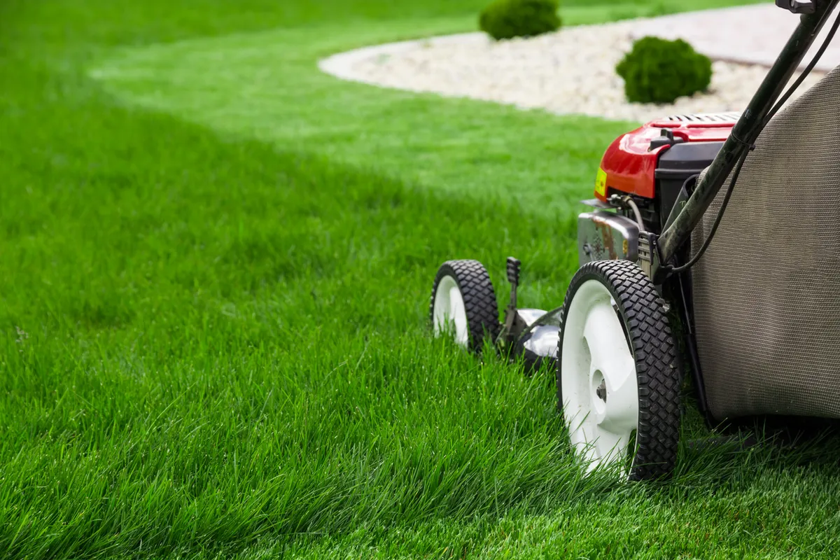 We Sort It- East Auckland / Manukau- Lawn Mowing