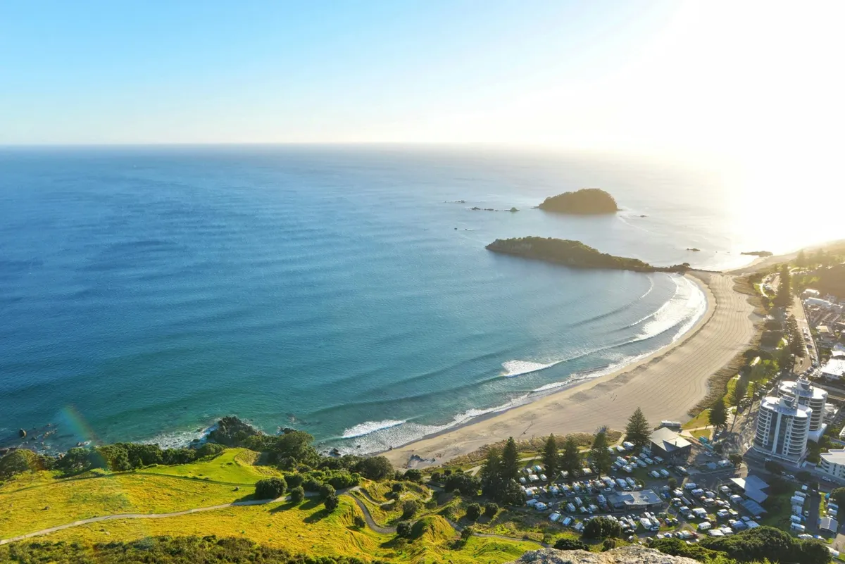 Paramount Gardening - Bay of Plenty