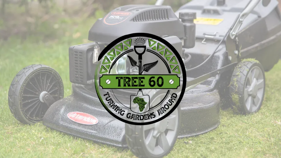 TREE 60 Garden Services