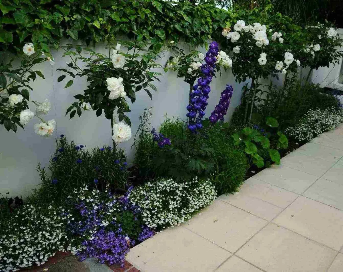 Naturescapes