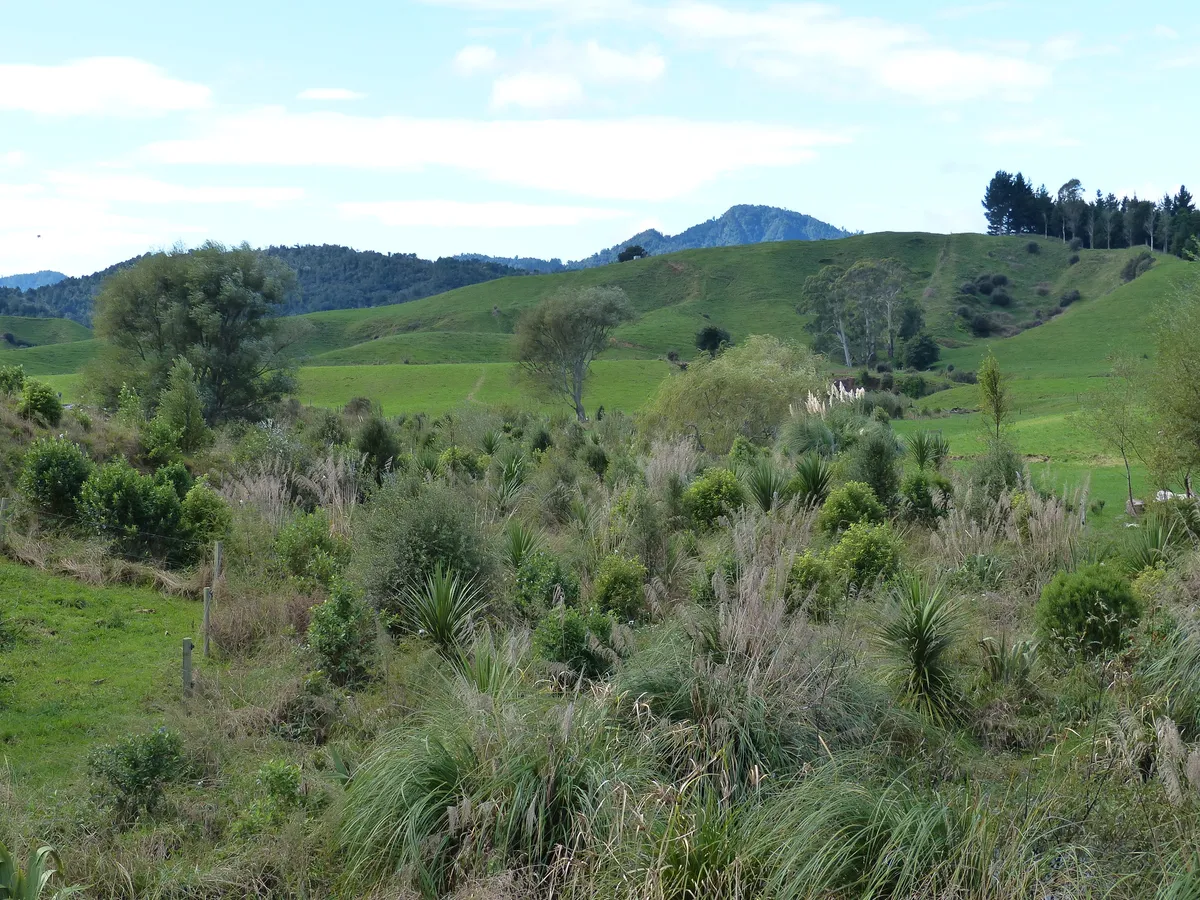 RURAL REVEGETATION SOLUTIONS