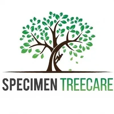 SPECIMEN TREECARE LIMITED