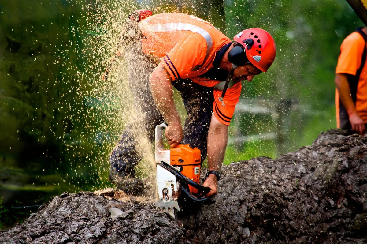 Arborcare Tree Company Ltd