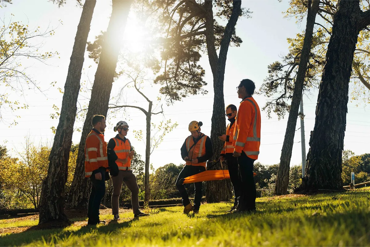 Arborlab Tree Consultancy