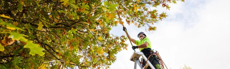 All-tree Services 2010 Ltd