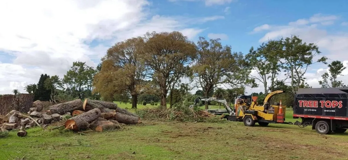 NZ Tree Tops Limited