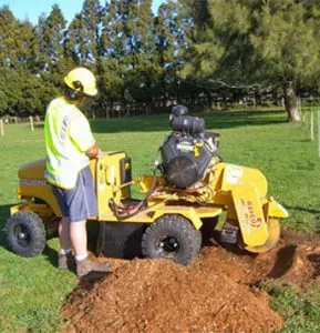 Lochwood Stump Grinding