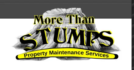 More Than Stumps