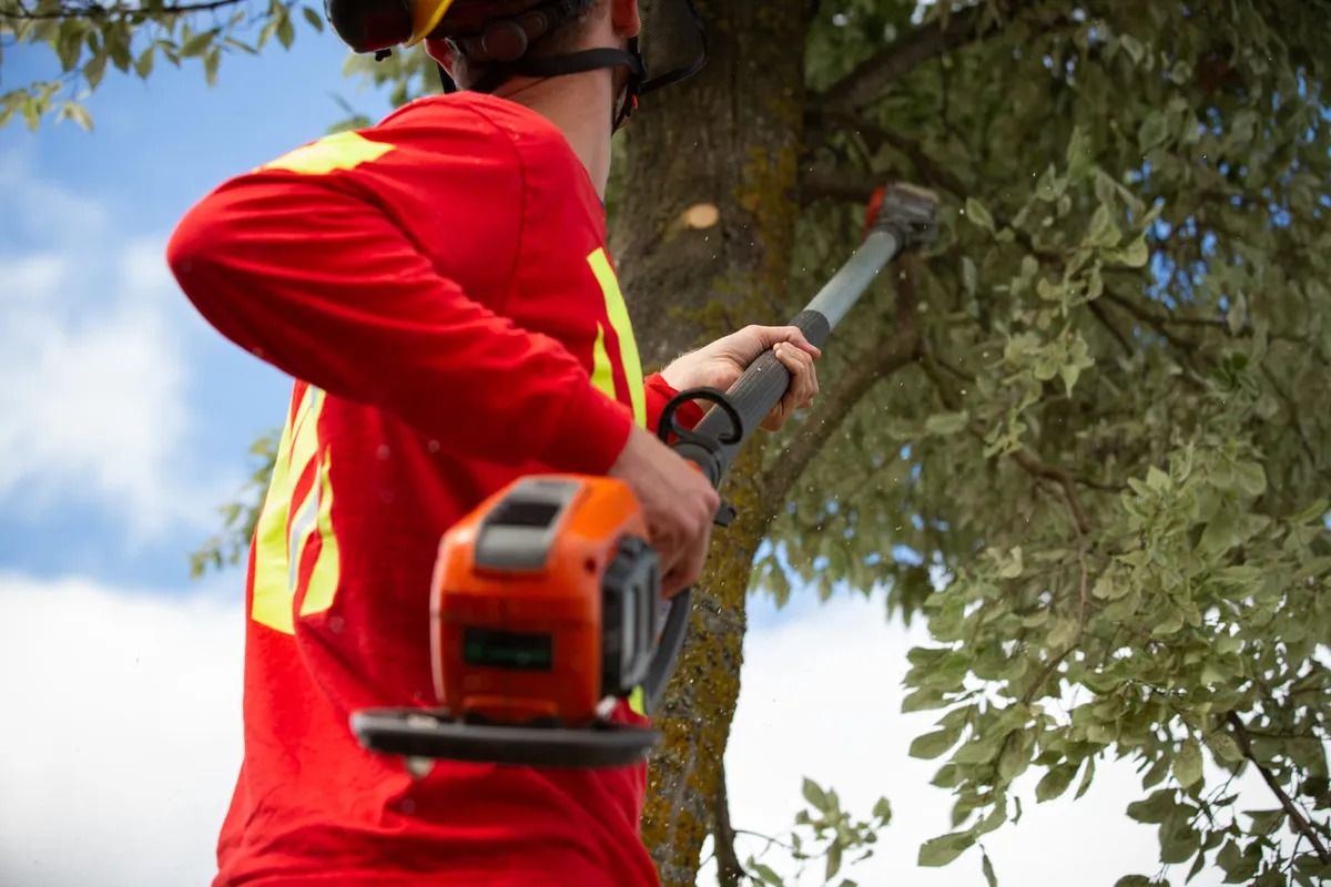 Treetech.