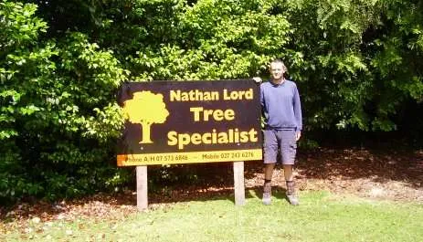 Treelord (Tree Specialist)