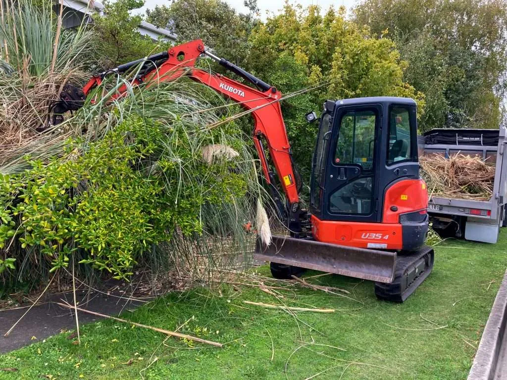 Tree & Garden
