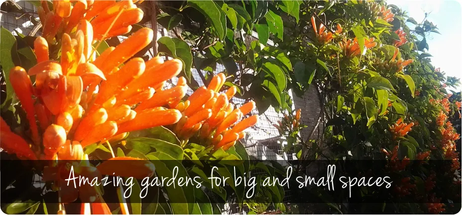 Kai Gardens