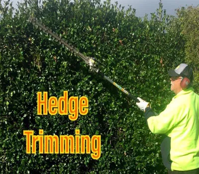 Tokoroa Pest Control