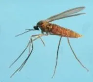Total Worx Pest Control