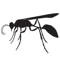 Nature's Way Pest Control