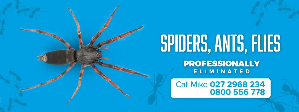 SPIDERBAN LIMITED