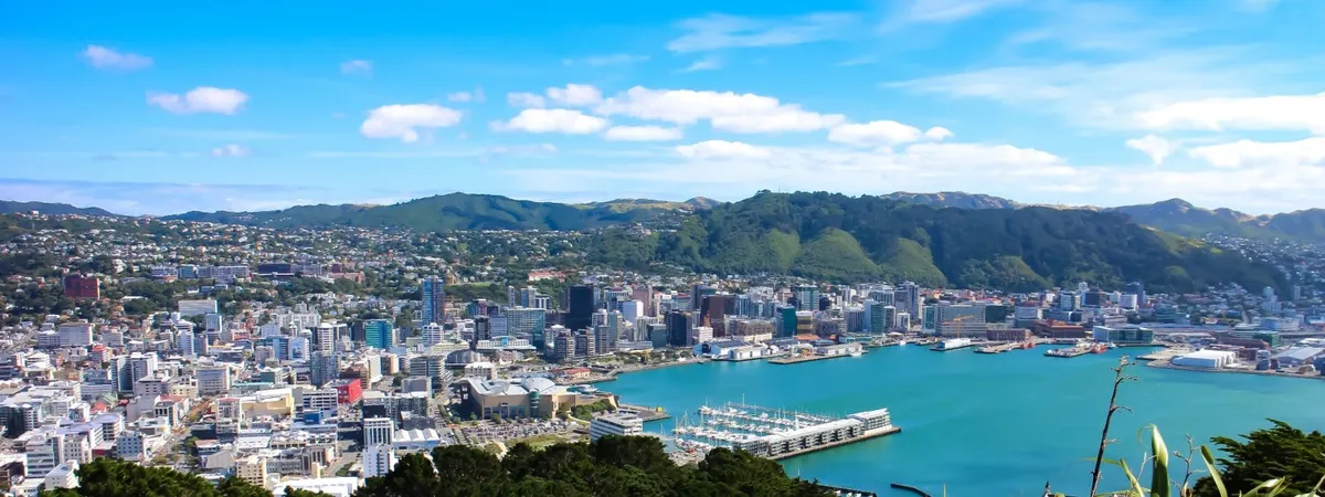 Crown Relocations Nelson