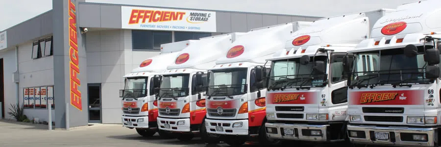 Efficient Carrying Co. Ltd