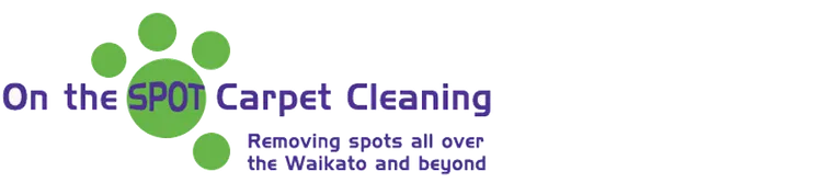 On the Spot Carpet Cleaning